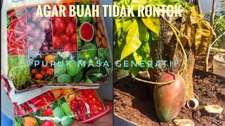 Pupuk kocor agar buah tidak rontok [upl. by Tommie]