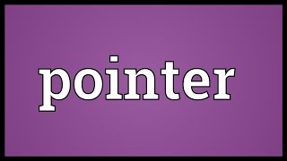 Pointer Meaning [upl. by Cooe]