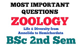 BSc I Year 2nd Sem Zoology paper 1 Important Question 2024 Life amp Diversity Annelida  Hemichordata [upl. by Notyep769]