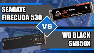 WD Black SN850X vs Seagate Firecuda 530 SSD Comparison [upl. by Dickey]