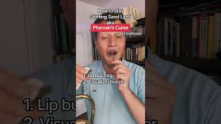 Pharoah’s Curse Shifting Sand Land trombone musictutorial [upl. by Htiduy]