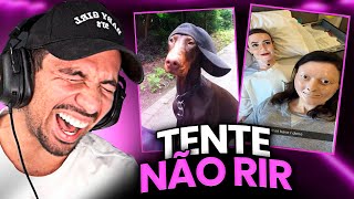 1 HORA DE TENTE NÃO RIR  PIUZINHO REAGINDO OS MELHORES MEMES DOS REELS  VIDEOS ENGRAÇADOS 2 [upl. by Holmun304]