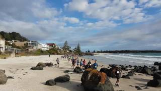 Gone Nuts  Tasmanias 101 Adventure Run [upl. by Lehcsreh]