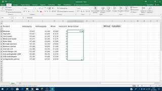 Winst berekenen BEDRAG Excel [upl. by Clerissa615]