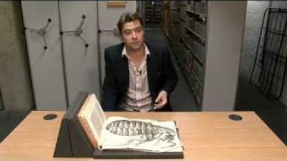 Treasures of the Bodleian Robert Hookes Micrographia [upl. by Hussey479]