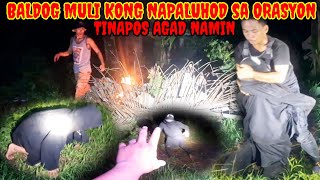 HINDI MUNA MAKITA KASAMAHAN MO BALDOG highlights intense subscribe kritikal [upl. by Ivey]