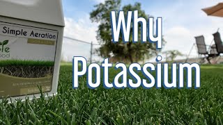 What Does Potassium Do For Your Lawn and Grass [upl. by Hulbard]