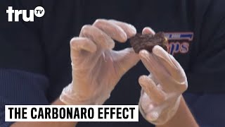 The Carbonaro Effect  Brownie Bit Falls Flat [upl. by Atiruam]