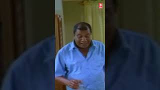 കനമുണ്ടോടാ എടാ കനമുണ്ടോടാ Roudram  Mammootty shorts mammootty [upl. by Htor]