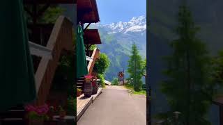 Gimmelwald Switzerland 😲😍 youtubeshorts shorts nature travel shortfeed shortsfeed [upl. by Bran28]