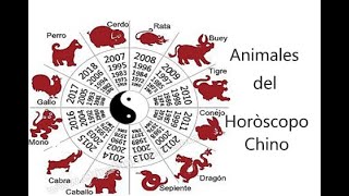 CONOCE TU ANIMAL en el HORÓSCOPO CHINO ㊗ PARTE 1 [upl. by Eiramassenav]