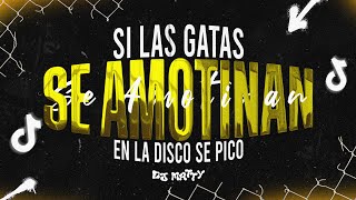 SI LAS GATAS SE AMOTINAN  DJ MATTY PEIPPER [upl. by Jojo933]