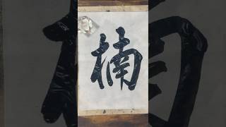 楠 camphor tree calligraphy 書道家 書道 apricoty [upl. by Nahta189]