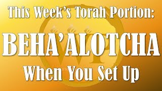 WP TORAH READING BEHAALOTCHA [upl. by Nedgo]