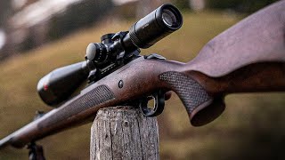 TOP 10 Best 22LR Rifles The Most Accurate 22 Rifles 2023 [upl. by Varney]