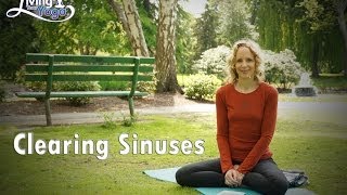 How to Clear your Sinuses [upl. by Zweig]