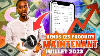 TOP 10 des produits Gagnants à Lancer en Dropshipping Juillet 2023 [upl. by Akenahc]