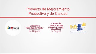 32 MIPYMES Proyecto de mejoramiento productivo y de calidad [upl. by Aicilra926]