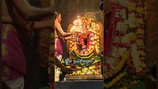 nataraja sivan songsthiruchitrambalamsivam songs tamilsiva sivayaannamalaiyarsongsanpa sivam [upl. by Ahsekin]