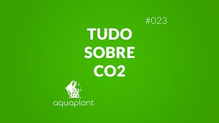 Tudo sobre CO2 em aquários plantados  023 [upl. by Aibat]