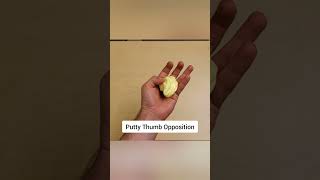 De Quervains Tenosynovitis  Rehab Exercises that work thumbpain wristpain dequervains [upl. by Nicolella585]