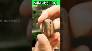 gold minimuslims amazingfacts love knowledge funny motivation 4kquran explore 4k 🕋 [upl. by Jen627]