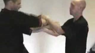 Wing chun fast hands [upl. by Holofernes]