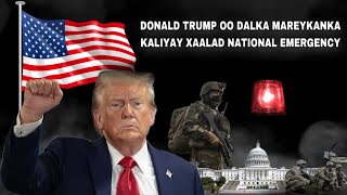 DONALD TRUMP OO DALKA MAREYKANKA KALIYAY XAALAD NATIONAL EMERGENCY  Abdi Iftin [upl. by Devan]