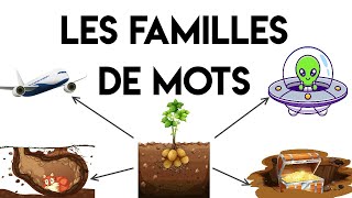 Les familles de mots [upl. by Akemehs]