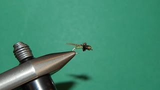 Tying the Biot Caddis Emerger [upl. by Shannon]