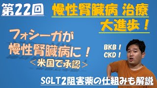 【新薬・適応追加】慢性腎臓病治療に大進歩！慢性腎臓病に対して米国でフォシーガが承認！慢性腎臓病とは？SGLT2阻害薬とは？フォシーガとは？糖尿病の薬なのになぜ？腎臓の機能って？ vol22 [upl. by Kcirdnekal]