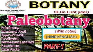 PaleobotanyPalaeobotanyFossilTypes of Fossils [upl. by Boleyn236]