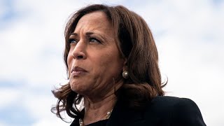 Kamala Harris will need to ‘account’ for Trump’s election bump [upl. by Erdnaed787]