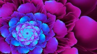 Chakra Meditation Music  Crown Chakra Healing amp Balancing Meditation Music [upl. by Alamat807]