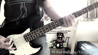 99 Red Balloons  Goldfinger  Bass Cover  87 [upl. by Aihsotan9]