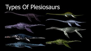 Types Of Plesiosaurs [upl. by Guenevere]