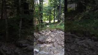 Entspannung am Bach Wassergeräusche und Relaxmusik [upl. by Amitie]