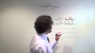 Arabic Grammar Constructing Regular Feminine Plurals in Arabic [upl. by Ignacio764]