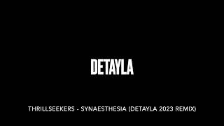 The Thrillseekers  Synaesthesia Detayla 2023 Remix [upl. by Adieno]