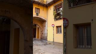 calles de valencia 🕊️ [upl. by Ennaecarg]