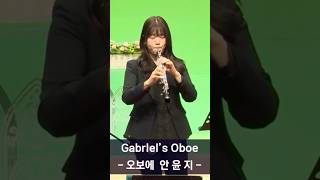 가브리엘 오보에 연주  Gabriel‘s Oboe  “The Mission” OST  Nella Fantasia shorts [upl. by Annocahs]