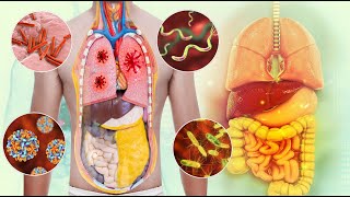 Rejuvenecimiento De Todo El Cuerpo  PERDER GRASA ABDOMINAL  Curativo 98 Efectivo En 5 Minutos [upl. by Esined]