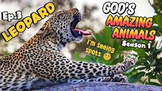 Fun Facts for Kids about Meerkats  Gods Amazing Animals S1 Ep3 [upl. by Pippas492]