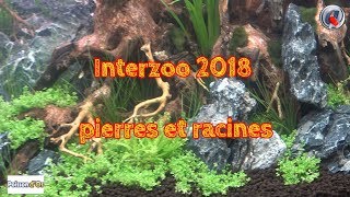 Interzoo 2018 pierres et racines [upl. by Suitangi]