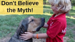 The Biggest MYTH About Livestock Guardian Dogs [upl. by Virginie]