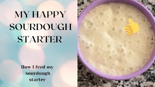 HOW TO FEED SOURDOUGH STARTER BEFORE BAKING BREAD  HOW I FEED MY SOURDOUGH STARTER [upl. by Eimmot]