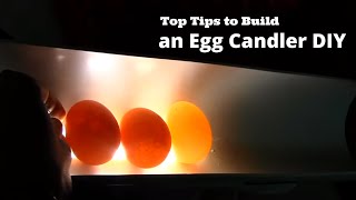 Top Tips to Build an egg Candler DIY [upl. by Warfold]