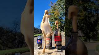 Popular Coke and Pepsi Sodas Vs Mentos 41 IN REVERSE satisfying experiment asmr [upl. by Zitah]