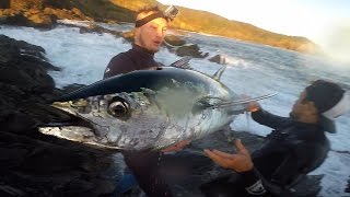 Fishing for Northern Bluefin Tuna [upl. by Halilad]