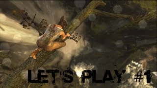 TOMB RAIDER  Lets Play 1 Découverte  Mon Dieu un violeur barbu [upl. by Patt100]